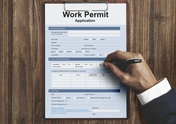 new york work permit lawyer