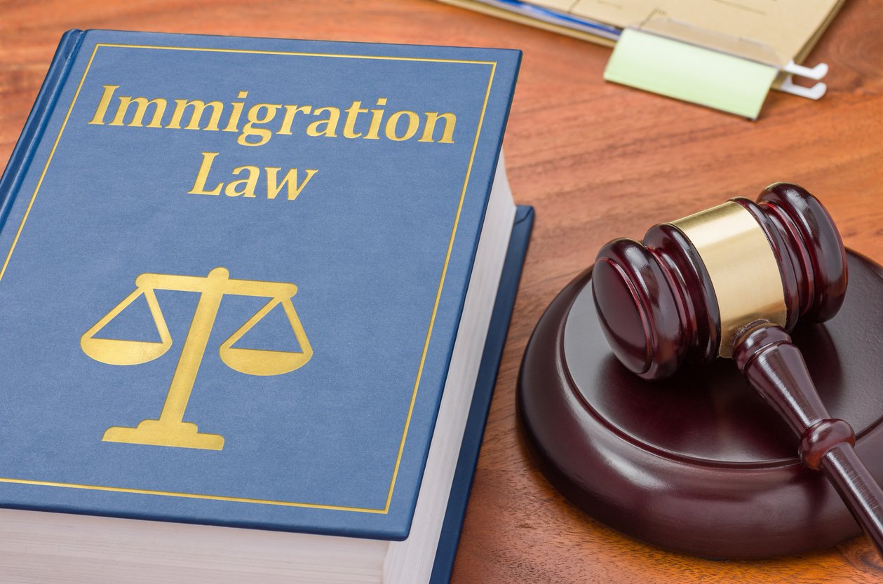 deportation defense cases
