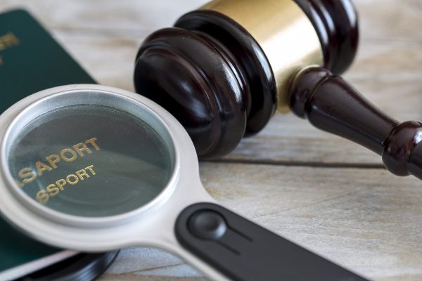 new york immigration courts